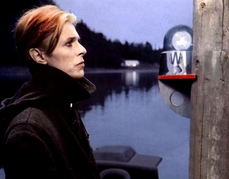 The man who fell to earth