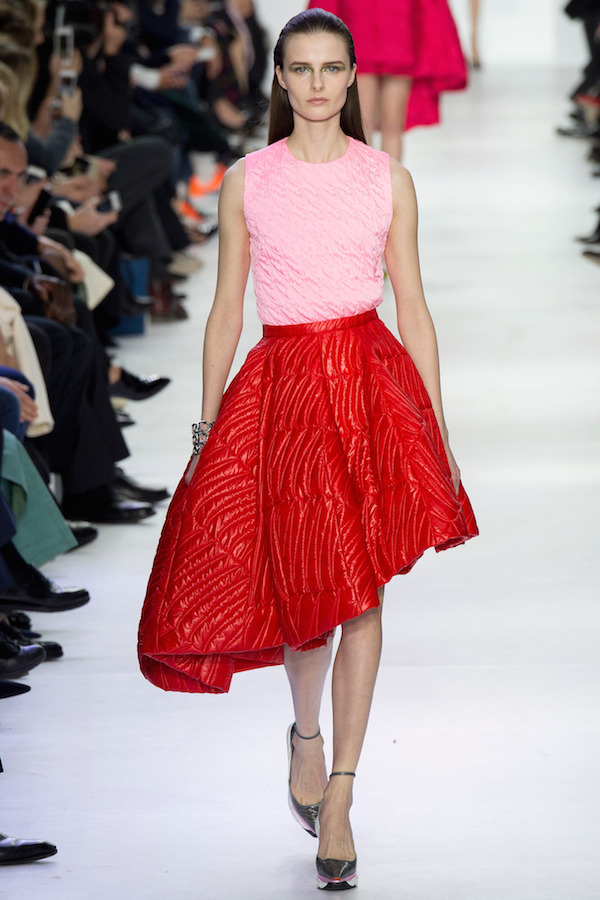 christian-dior-fall-2014-ready-to-wear-look-40